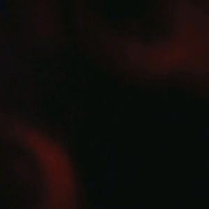 Meet your Posher, Ivan